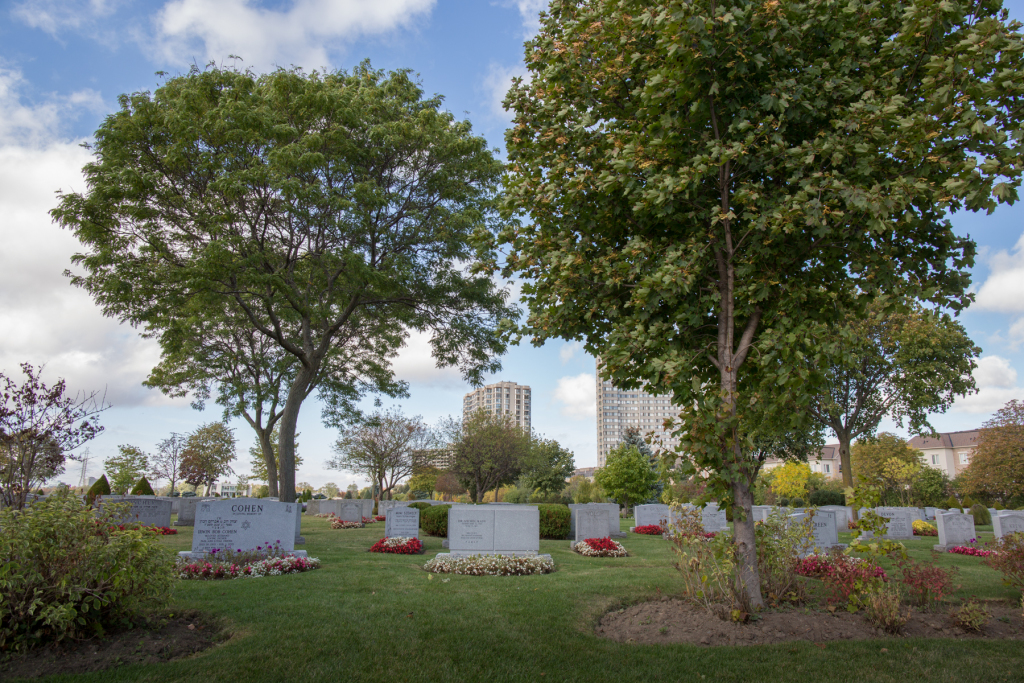 5df014c9ad253-10217-17735-ParkLawn-496