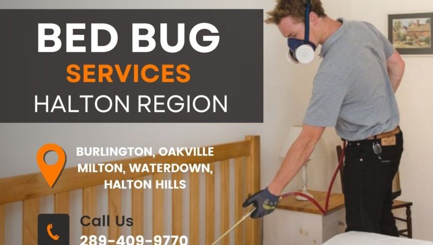 Bed-Bug-Services-Halton