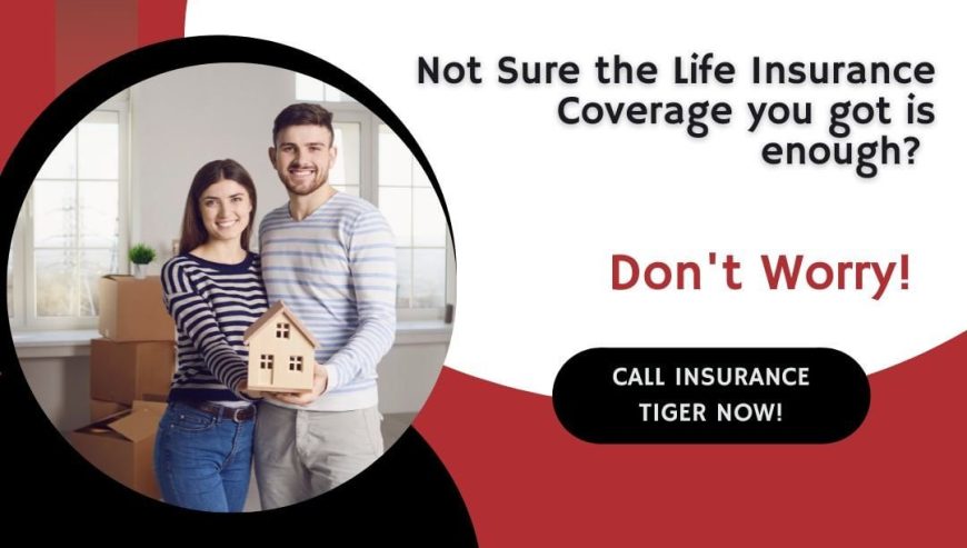 life-insurance-insurance-tiger